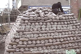 秀珍菇栽培技術(shù)全攻略 從菌種選育到進出口須知