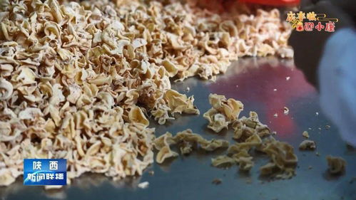 慶豐收 迎小康 商洛食用菌成為農(nóng)業(yè)發(fā)展主力軍——探析品種進(jìn)出口新路徑